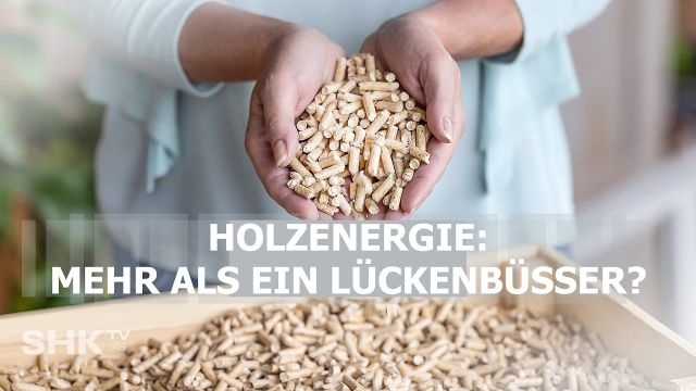 Embedded thumbnail for Wie steht es um die Holzenergie? 
